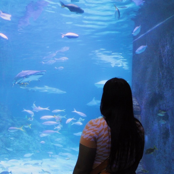 Meet your Posher, Alana - Picture 1 of 9